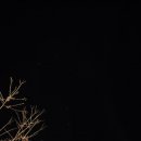 방태산솔마루 이미지