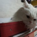 헤어살롱 페뜨(FETE) 이미지