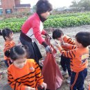 가용농장 이미지