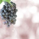 와이비메디칼 이미지