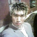 로마성인나이트 Daum카페
