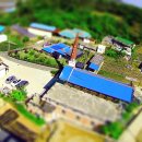 부흥 태양광발전소 이미지