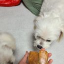 제리식탁 이미지