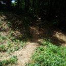 완산-123 Daum카페