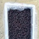 만인농장 이미지