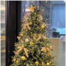 캠프나인정형외과의원 이미지