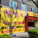 내 돈 내산 더 진한 아주 차 네이버 쇼핑