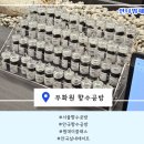 파랑공방 | 향수공방 비교 후기 : 안국향수공방 무화원에서 드디어 취향 찾다