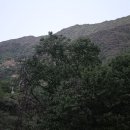 지리산의 아침 Daum카페