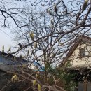 여산경로당 이미지