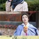 세화수목 이미지