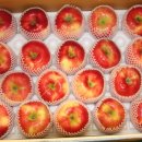 학송농장 이미지