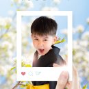 중앙드래곤합기도 이미지