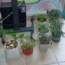 드리다공인중개사사무소 이미지