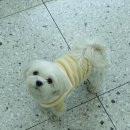 우리두리마켓