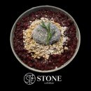 스톤 | [수원 행궁동] 카페 맛집 돌맹이 디저트로 유명한 스톤 후기