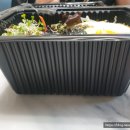 새싹분식 이미지