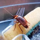 ​폐 건강에 영향을 미치는 일상 속 요인들 이미지