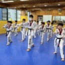 리더댄 영어 태권도 이미지