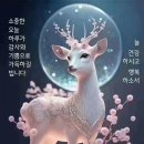 덴마크 오티콘 보청기 이미지