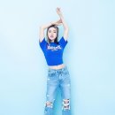 비주얼맵스