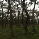 한솥도시락 경주황성공원앞점 | [경주여행] 경주 황성공원