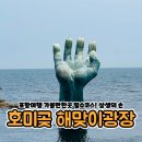 호미곶면사무소 | [포항여행] 가볼만한곳 호미곶 해맞이광장 방문기 (주차정보)