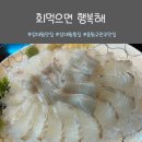 회먹으면행복해