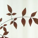 ◆(사진)신구대 식물원 & ◆영휘원과 숭인원 이미지
