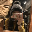 플라티나폭스