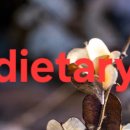 For delay dementia 1,112 Power english 이미지