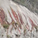 문치재전망대 정선아리랑시장 이미지