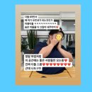 핏더독 이미지