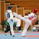 충주태권도 이미지