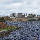 고내마을 이미지