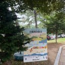 어린이대공원수영장 | 아이와 어린이대공원 수영장:)어린이회관 수영장 이용꿀팁!