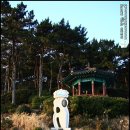 해운대석각 이미지