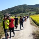 정다운농장 이미지