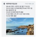 행복면 | 타이페이 여행] 타이페이 예스폭진지 일일투어 후기(1) - 예스진지 / 스펀폭포 / 스펀 (feat. 석가, 닭...