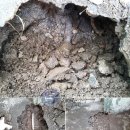 해양대학로 이미지