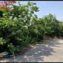 월악리 마을회관 이미지