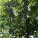 이천시 설봉공원 국궁장 이미지