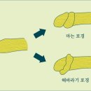 조희주비뇨의학과의원 이미지