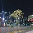 빨간석쇠구이