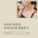 미금역 | 미금역피부과 재방문 후기 :: 다시받은 온다리프팅