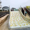 예산-41 | 예산 스플라스 리솜 워터파크 패키지 가격, 준비물, 아이와 함께 방문후기