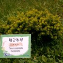 죽장상옥분교 이미지