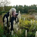 정원비디오 이미지