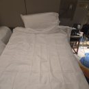 이지트래블국제 | [대만 자유여행 1] 준비부터 시작｜타이베이 가든호텔·이지카드·트래블카드 후기