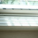 크린수유 이미지